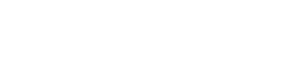 Premium Clean logo
